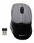Targus W571 Wireless Optical Mouse color image