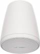 Bose Freespace FS2P Pendant In-Ceiling Mount speaker image 