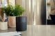 Bose Home Speaker 300 With Alexa Bluetooth speaker image 