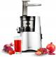 Hurom H-AA Series Cold Press Slow Juicer image 