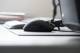 Razer Basilisk FPS Gaming Mouse (RZ01-02330100-R3A1) image 