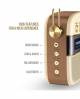 Saregama Carvaan Gold Portable Digital Music Player  image 