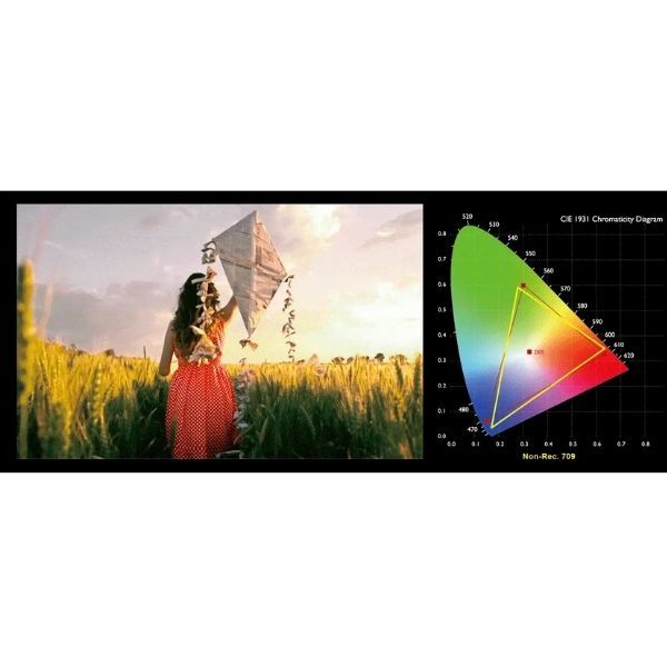 Rec.709 Color Accuracy