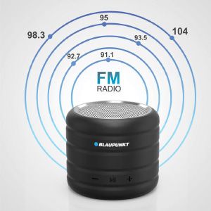 Inbuilt Blaupunkt FM mode 