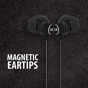 magnetic ear tips