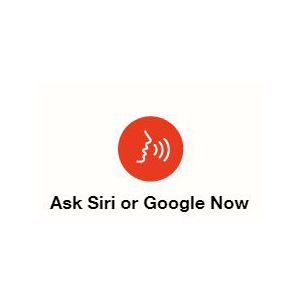 activate voice assistant