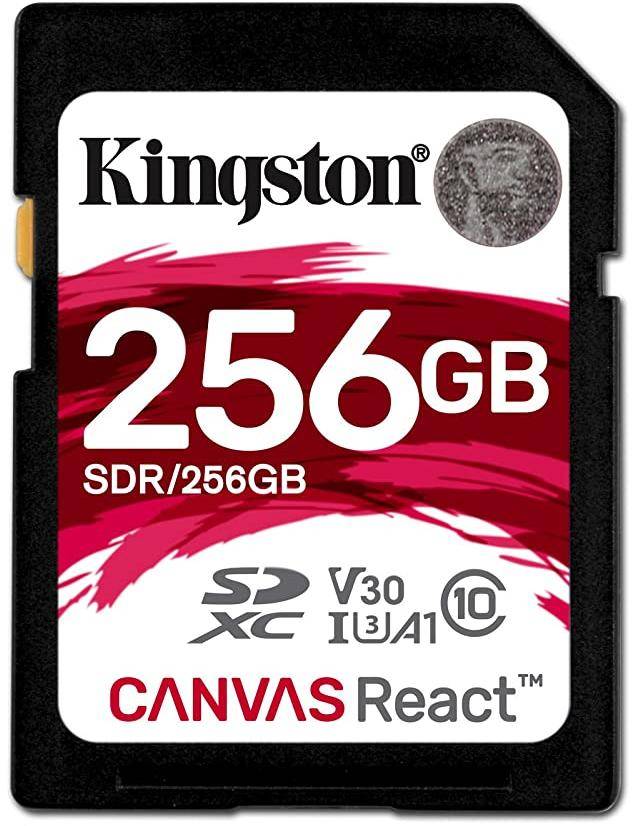 Buy Kingston SDR/256GBIN 256gb Memory Cards Online in India at Lowest