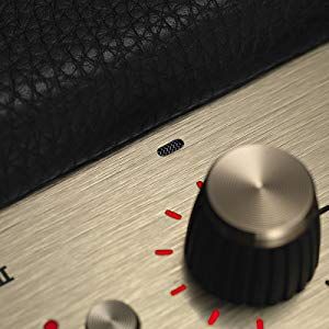 Far-Field Voice RecognitionÂ 