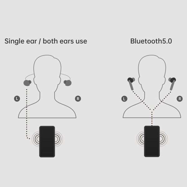 DUAL MICROPHONE SYSTEM.