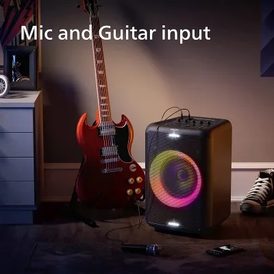 Mic and guitar inputs