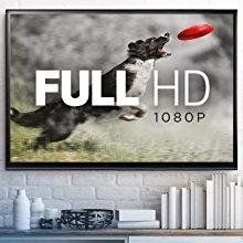 HD Video Recording