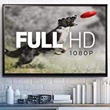 FullHD Video Recording