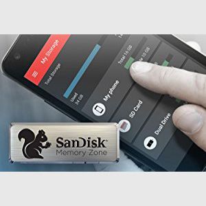 Sandsik app to backup files