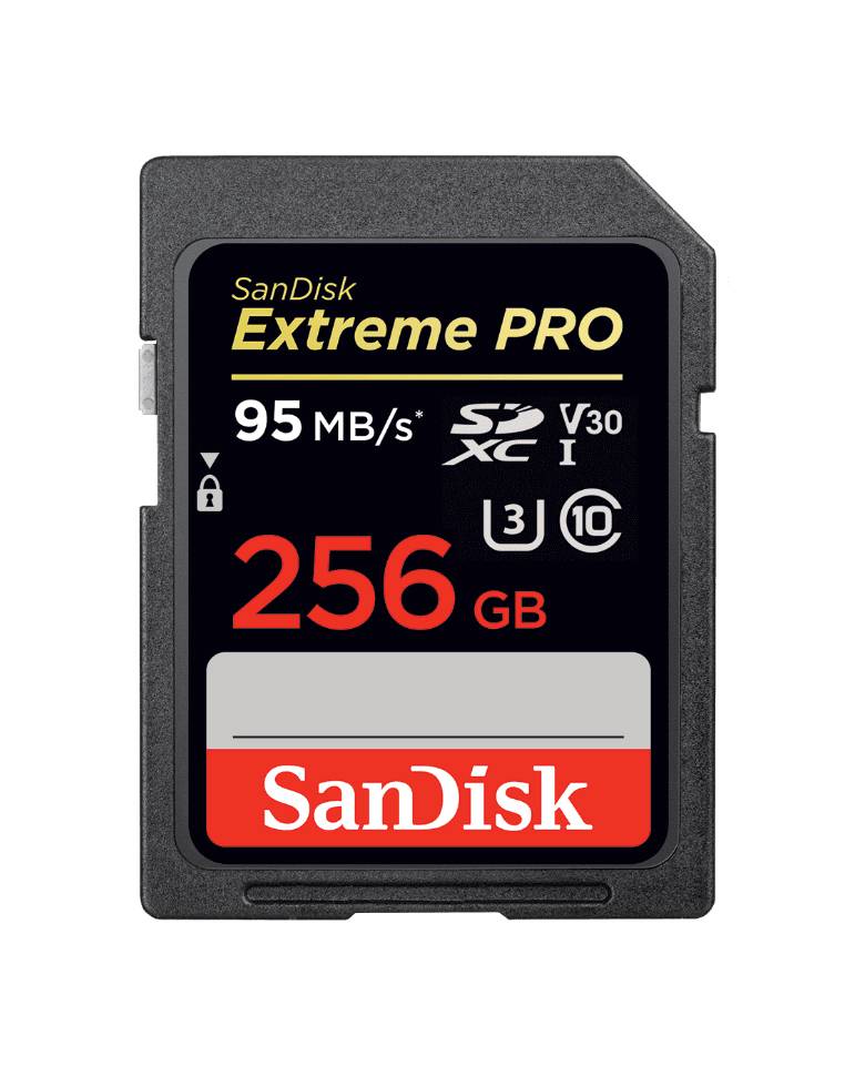 SanDisk  256GB Extreme Pro Class 10 UHS-I SDXC 95 mb/s Memory Card (SDSDXXG-256G-GN4IN) zoom image
