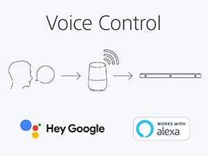 Voice Assistant Compatibility