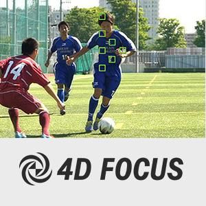 4d focus