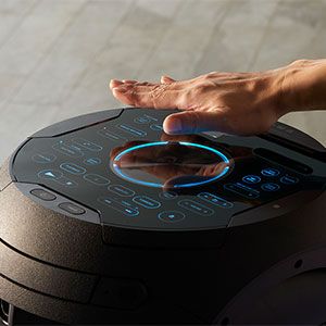 Gesture Control