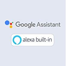 in-built alexa with google assistant
