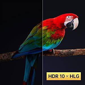 HDR 10 Visual Quality