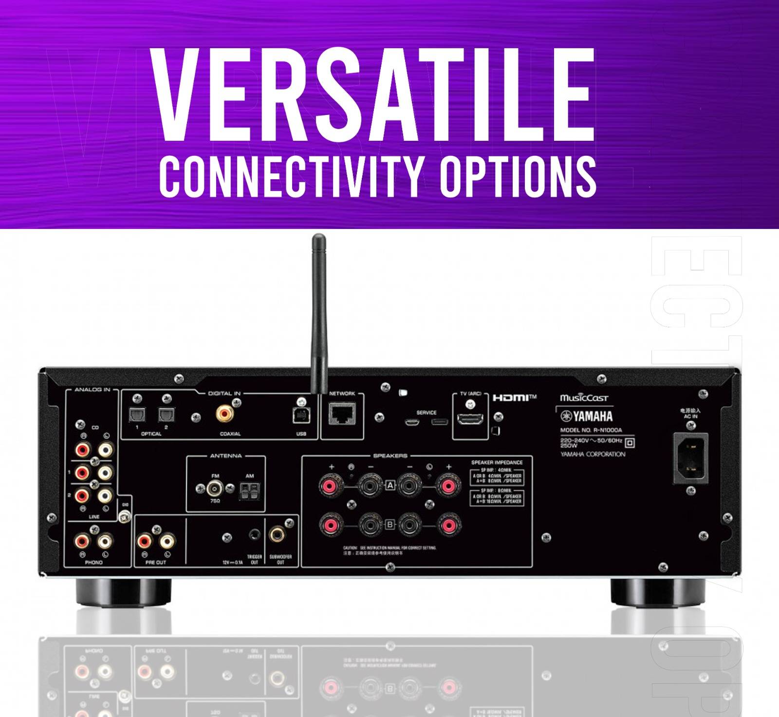 Versatile Connectivity Options