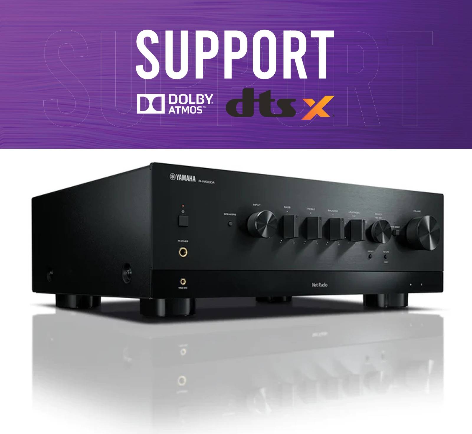 Dolby Atmos and DTS:X Support