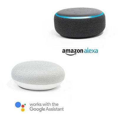 Google Assistant and Alexa